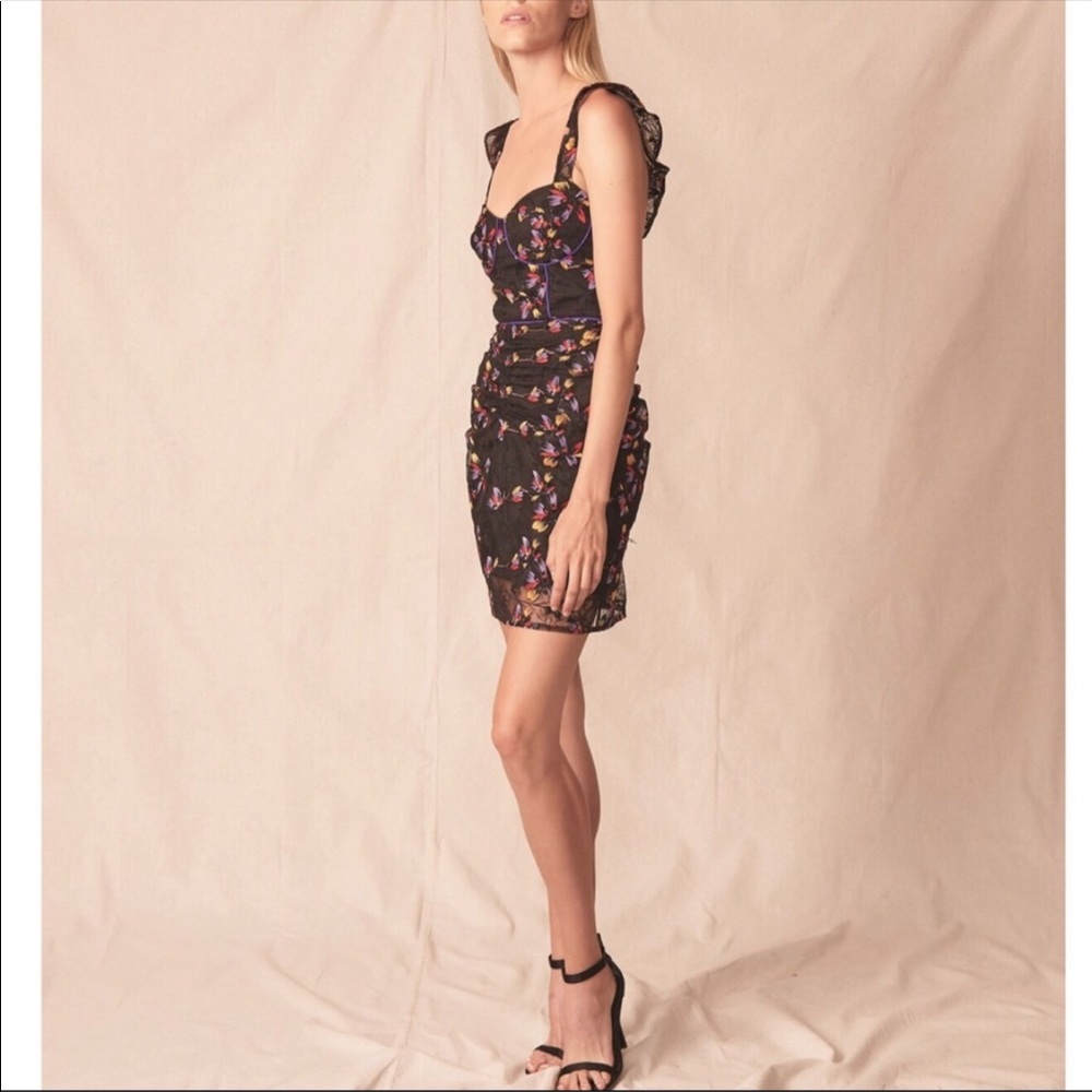 Gorgeous ALLEN SCHWARTZ Fiona bustier dress!
